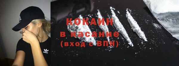 дживик Верхний Тагил