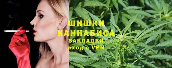 дживик Верхний Тагил