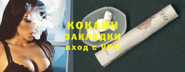 дживик Верхний Тагил
